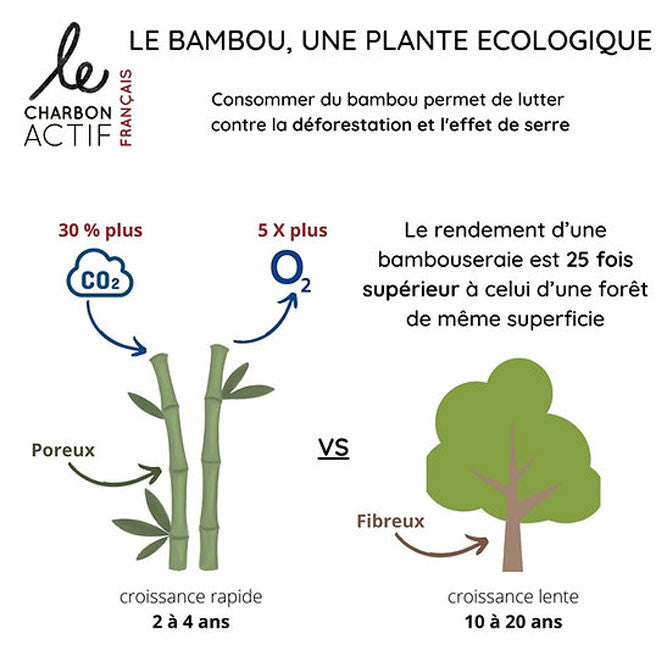 Charbon de bambou français filtre à eau naturel